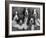 Five Large Spaniel Puppies Crowded in a Basket Owner: Browne-Thomas Fall-Framed Photographic Print