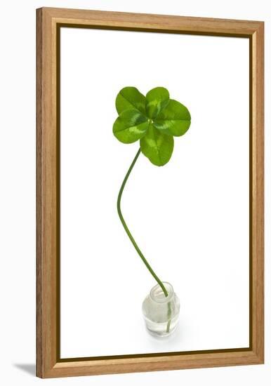 Five-leaf Clover-David Nunuk-Framed Premier Image Canvas