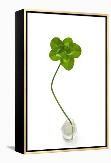 Five-leaf Clover-David Nunuk-Framed Premier Image Canvas