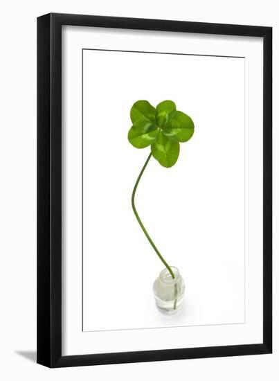 Five-leaf Clover-David Nunuk-Framed Photographic Print