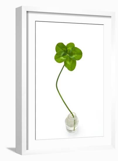 Five-leaf Clover-David Nunuk-Framed Photographic Print