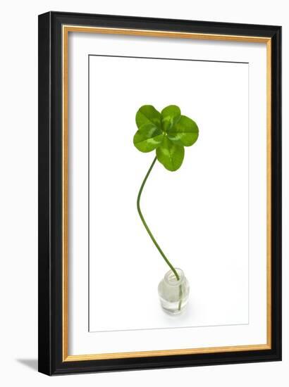 Five-leaf Clover-David Nunuk-Framed Photographic Print