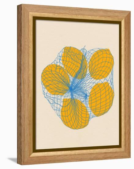 Five Lemons in a Net Bag-Rosi Feist-Framed Premier Image Canvas