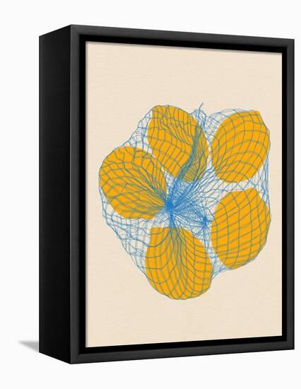 Five Lemons in a Net Bag-Rosi Feist-Framed Premier Image Canvas