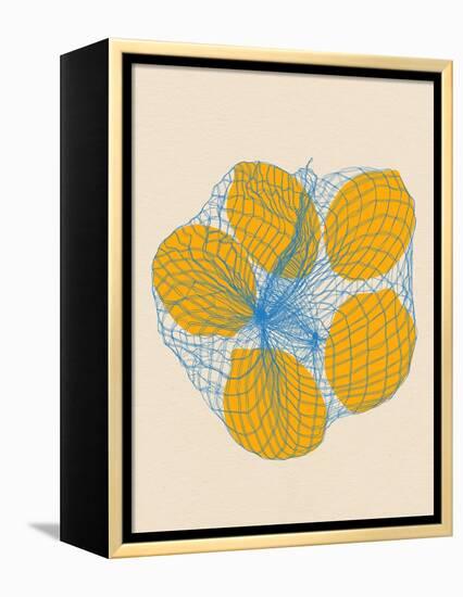 Five Lemons in a Net Bag-Rosi Feist-Framed Premier Image Canvas