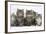 Five Maine Coon Kittens, 8 Weeks-Mark Taylor-Framed Photographic Print