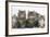 Five Maine Coon Kittens, 8 Weeks-Mark Taylor-Framed Photographic Print