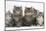 Five Maine Coon Kittens, 8 Weeks-Mark Taylor-Mounted Photographic Print