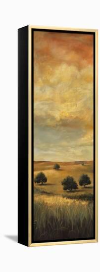 Five Oaks I-Cory Steffen-Framed Premier Image Canvas