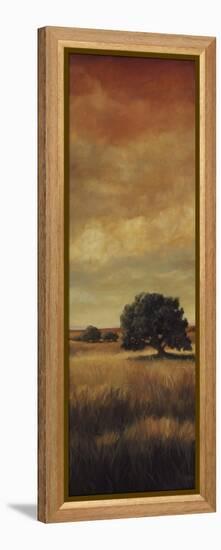 Five Oaks II-Cory Steffen-Framed Premier Image Canvas