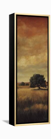 Five Oaks II-Cory Steffen-Framed Premier Image Canvas