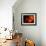 Five Persimmons-Terri Hill-Framed Premium Giclee Print displayed on a wall