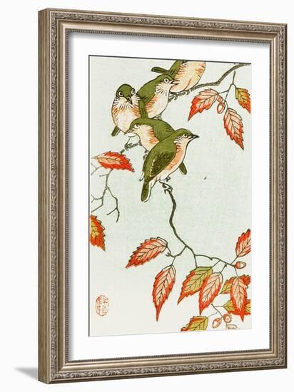 Five Small Birds Perch on a Acorn Tree-Koson Ohara-Framed Giclee Print