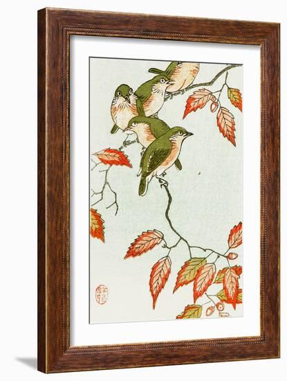 Five Small Birds Perch on a Acorn Tree-Koson Ohara-Framed Giclee Print