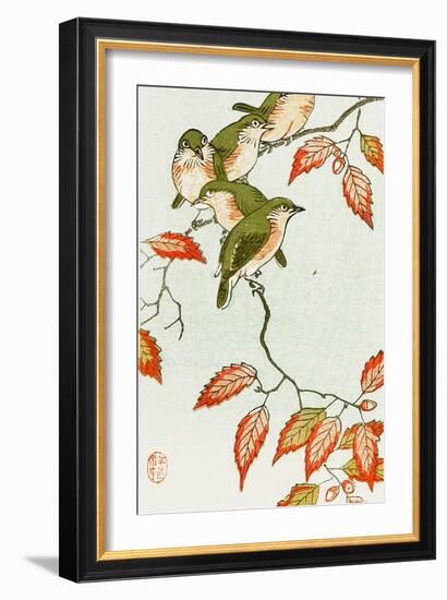 Five Small Birds Perch on a Acorn Tree-Koson Ohara-Framed Giclee Print