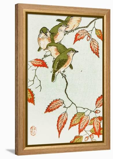 Five Small Birds Perch on a Acorn Tree-Koson Ohara-Framed Premier Image Canvas