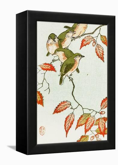 Five Small Birds Perch on a Acorn Tree-Koson Ohara-Framed Premier Image Canvas