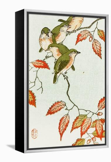 Five Small Birds Perch on a Acorn Tree-Koson Ohara-Framed Premier Image Canvas