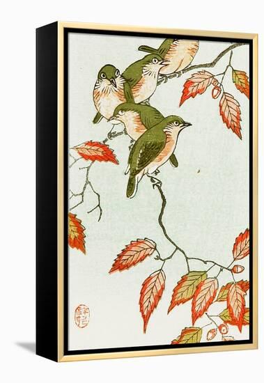 Five Small Birds Perch on a Acorn Tree-Koson Ohara-Framed Premier Image Canvas
