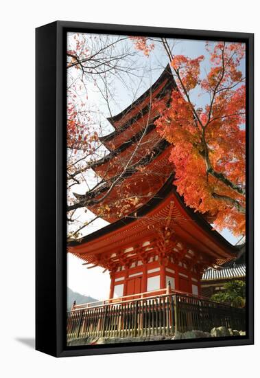 Five-Storey Pagoda (Gojunoto) in Autumn, Miyajima Island, Western Honshu, Japan-Stuart Black-Framed Premier Image Canvas