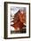 Five-Storey Pagoda (Gojunoto) in Autumn, Miyajima Island, Western Honshu, Japan-Stuart Black-Framed Photographic Print