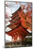 Five-Storey Pagoda (Gojunoto) in Autumn, Miyajima Island, Western Honshu, Japan-Stuart Black-Mounted Photographic Print