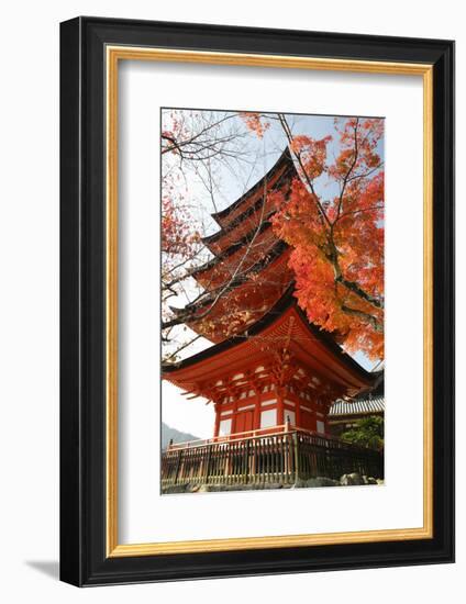 Five-Storey Pagoda (Gojunoto) in Autumn, Miyajima Island, Western Honshu, Japan-Stuart Black-Framed Photographic Print