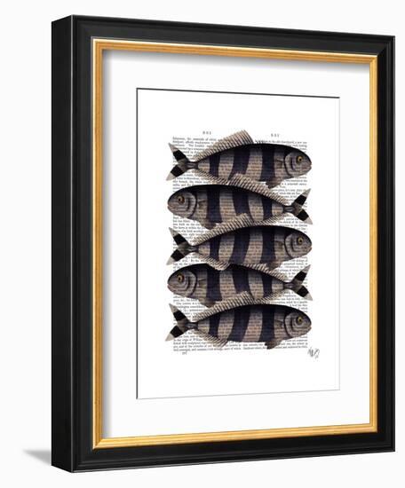 Five Striped Fish-Fab Funky-Framed Art Print