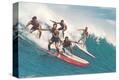 Stretched Canvas Print