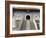 Five Terrace Mountain, One of China's Most Ancient Buddhist Sites, Shanxi, China-De Mann Jean-Pierre-Framed Photographic Print