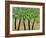 Five Trees in a Grove-Blenda Tyvoll-Framed Art Print