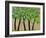 Five Trees in a Grove-Blenda Tyvoll-Framed Art Print