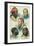 Five Types of the Human Race, Late 19th Century-null-Framed Giclee Print