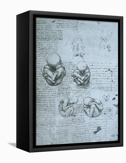 Five Views of a Foetus in the Womb, Facsimile Copy-Leonardo da Vinci-Framed Premier Image Canvas
