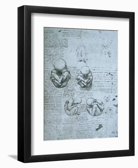 Five Views of a Foetus in the Womb, Facsimile Copy-Leonardo da Vinci-Framed Giclee Print