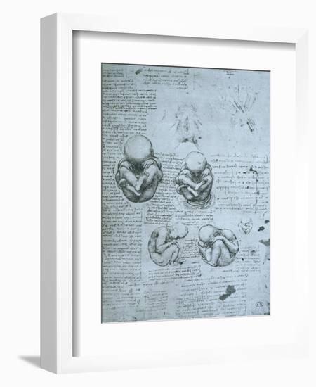 Five Views of a Foetus in the Womb, Facsimile Copy-Leonardo da Vinci-Framed Giclee Print