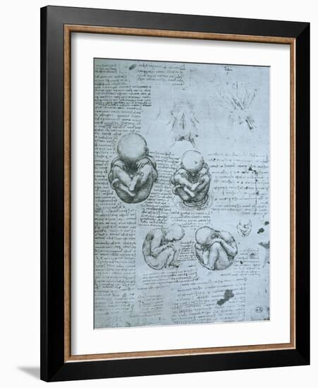 Five Views of a Foetus in the Womb, Facsimile Copy-Leonardo da Vinci-Framed Giclee Print