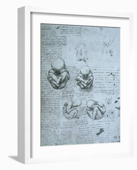 Five Views of a Foetus in the Womb, Facsimile Copy-Leonardo da Vinci-Framed Giclee Print