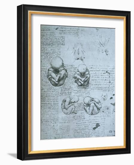 Five Views of a Foetus in the Womb, Facsimile Copy-Leonardo da Vinci-Framed Giclee Print