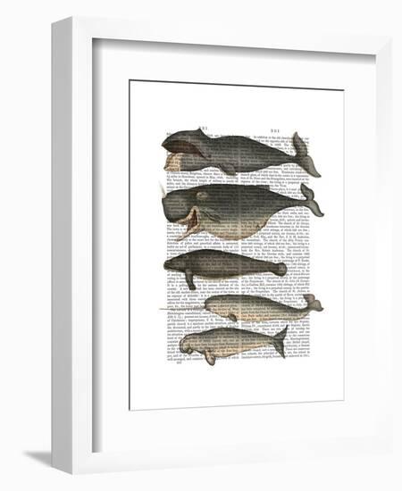 Five Vintage Whales-Fab Funky-Framed Art Print