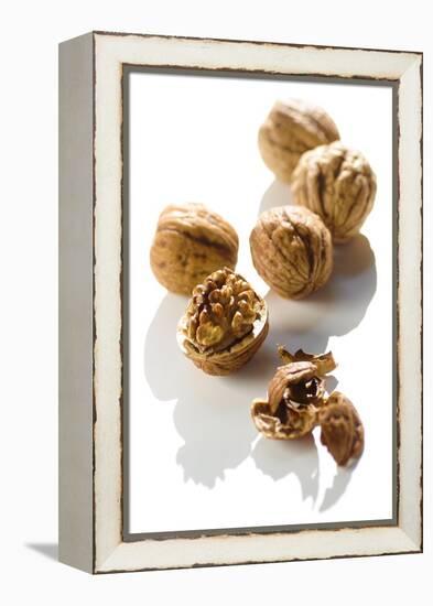 Five Walnuts, Opened and Unopened, on White Background-Kröger and Gross-Framed Premier Image Canvas