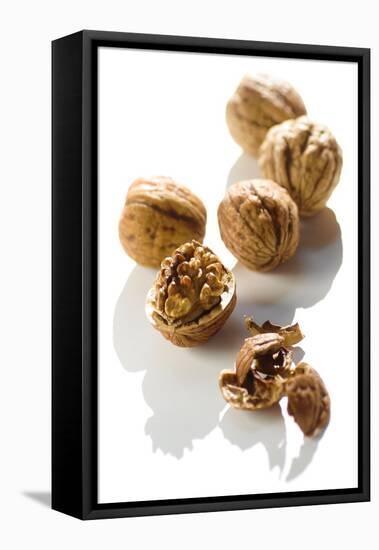 Five Walnuts, Opened and Unopened, on White Background-Kröger and Gross-Framed Premier Image Canvas