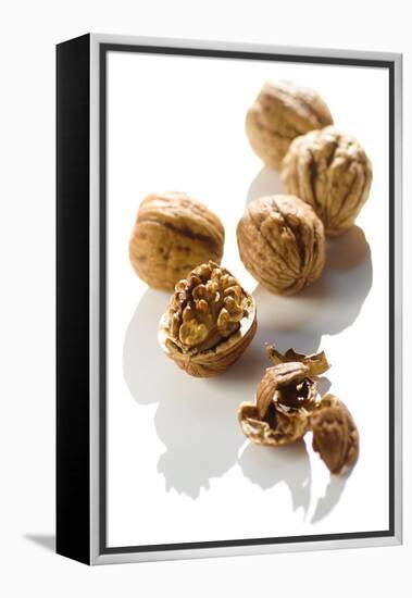 Five Walnuts, Opened and Unopened, on White Background-Kröger and Gross-Framed Premier Image Canvas