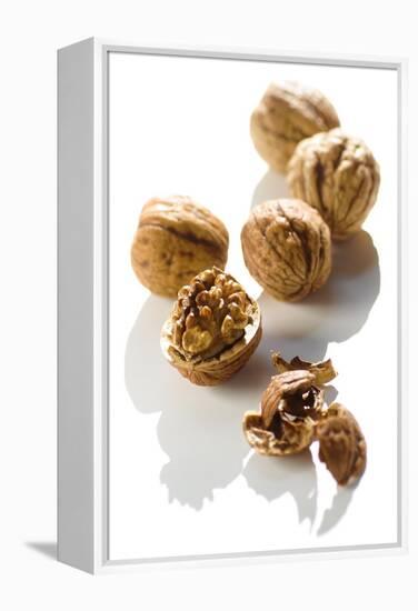 Five Walnuts, Opened and Unopened, on White Background-Kröger and Gross-Framed Premier Image Canvas