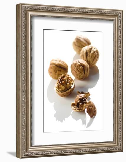 Five Walnuts, Opened and Unopened, on White Background-Kröger and Gross-Framed Photographic Print