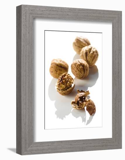 Five Walnuts, Opened and Unopened, on White Background-Kröger and Gross-Framed Photographic Print