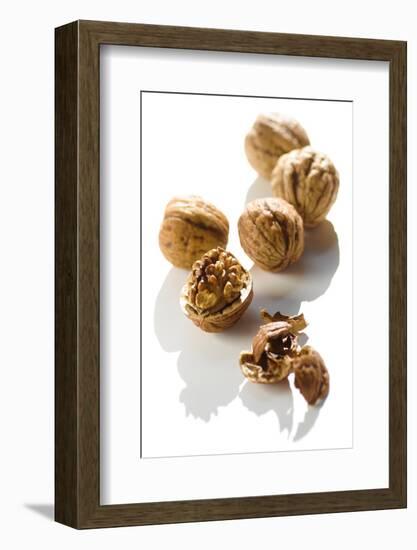 Five Walnuts, Opened and Unopened, on White Background-Kröger and Gross-Framed Photographic Print