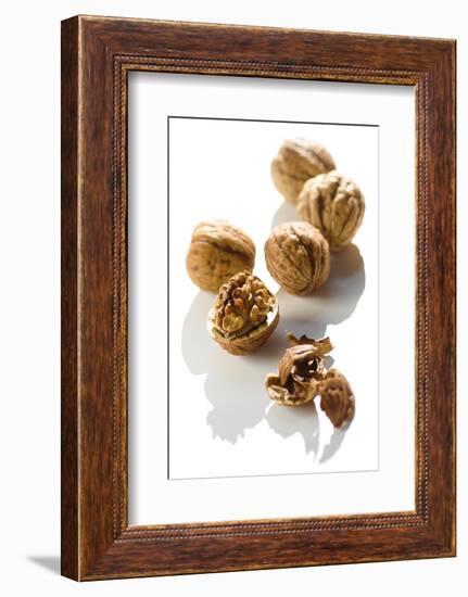 Five Walnuts, Opened and Unopened, on White Background-Kröger and Gross-Framed Photographic Print