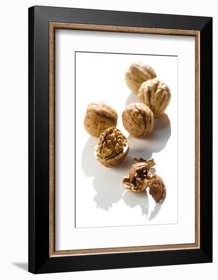 Five Walnuts, Opened and Unopened, on White Background-Kröger and Gross-Framed Photographic Print