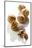 Five Walnuts, Opened and Unopened, on White Background-Kröger and Gross-Mounted Photographic Print